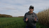 Inter-seeding, cover crops and manure
