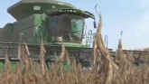 The Pursuit of New Uses for Soybeans