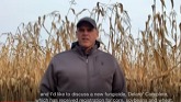 New Delaro® Complete fungicide | Eastern Canada | The Front Row | Bayer Crop Science
