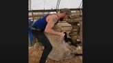 Sheep Farming: Shearing the Beast