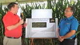 DEKALB Corn Fungicide Trials