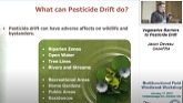 Vegetative barriers to pesticide drift