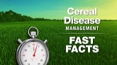 BASF Cereal Disease Management Fast Facts: Fusarium Head Blight, Fusarium Damaged Kernel and DON