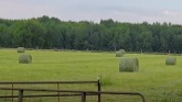 Sheep Farming: Wrapping Hay