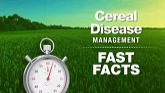 BASF Cereal Disease Management Fast Facts: Seed Treatment vs Foliar Fungicide