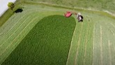 Cutting hay (I almost lost the drone)
