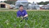 Phosphorus Management In Corn