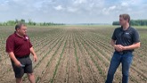 Chris Snip is scouting 2021 crop soybeans in the Essex, Ontario area