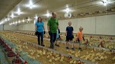 Meet the Wollmann Family One of Our Hard-working Manitoba Chicken Producers Farm Families