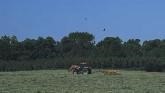 Silage Production - Field to Feed Tro...