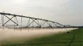 Northern Alberta barley irrigation
