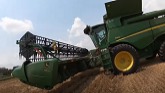 Harvesting Wheat