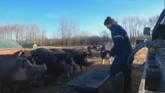 A DAY IN THE LIFE || Winter Farming i...
