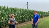 This corn field in Chatham-Kent is off to a great start