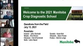 Crop Diagnostic School