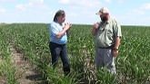 Interview with Mark Rohrich - Maverick Ag - Insights to the Drought in North Dakota