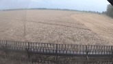 Harvesting Wheat Part 2
