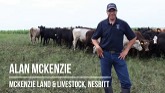Livestock Integration and Perennial Planting -McKenzie Land & Livestock