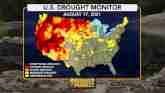 The Tally of Wildfires and Drought Co...