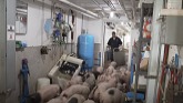 Moving And Sorting Pigs
