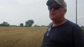 Denotter Farms Buckwheat Planting 2021