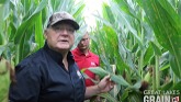 Day 3 Corn Field Assessment in Thamesville