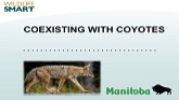 Wildlife Smart Coexisting with Coyotes