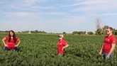 Day 4 Crop Tour 2021 Essex soybean field assessment