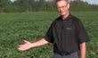 Dow Seeds Advanced Soybean Breeding Program