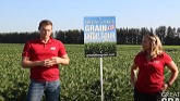 Day 2 Crop Tour 2021 in Chatham with ...