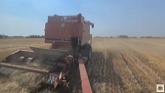 1682 wraps up the malt and rolls into the canola!