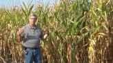 Thirty Year Study Using Composting in Corn Plots Improves yield