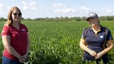 Day 7 Crop Assessment Tour 2021 - Embrun Co-op