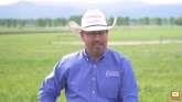 What Does Sustainability Mean to Beef Producers?