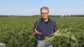 AGRIS Mn5 foliar application - Dale Cowan at the AGRIS MiField Technology Site in 2021