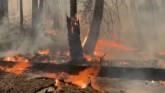 U.S. House Legislators Push for Action on Historic Wildfires