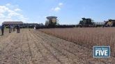Minimize Soybean Harvest Losses With These Tips