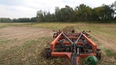Working the sweet corn ground down