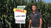 Corn fungicides from Bayer include De...