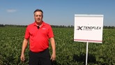 New XtendFlex Soybeans from DEKALB for 2022 is introduced at AGRIS MiField Technology Site.