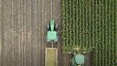 2021 Veldale Silage Harvest