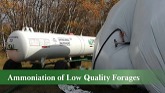 Ammoniation of Low Quality Forages