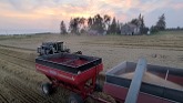 JJnS Farms - Wheat Harvest 2021 - Last video! Racing the rain!