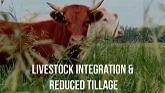 FaspaFarm- Livestock Integration and Reduced Tillage