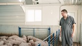Olson Farms: Next Generation of Pig Farming