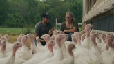 Pogue Family - Organic Turkey Farmers