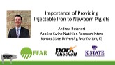 Importance of Providing Injectable Iron to Newborn Piglets
