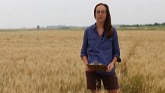 On farm Wheat Variety Trials- Anne Kirk