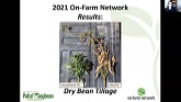 2021 Dry Bean Tillage Results