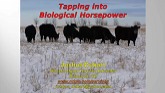 Tapping into Biological Horsepower - ...